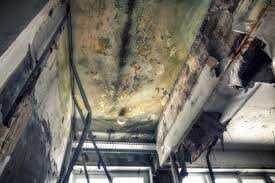 Asbestos and Lead Testing During Mold Inspection in Waltham, MA